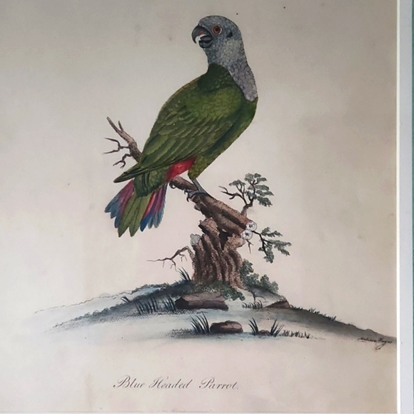 Rare Late-18th Century c.1794 English Georgian Hand-Colored Engraving, Wm Hayes - Picture 2 of 4